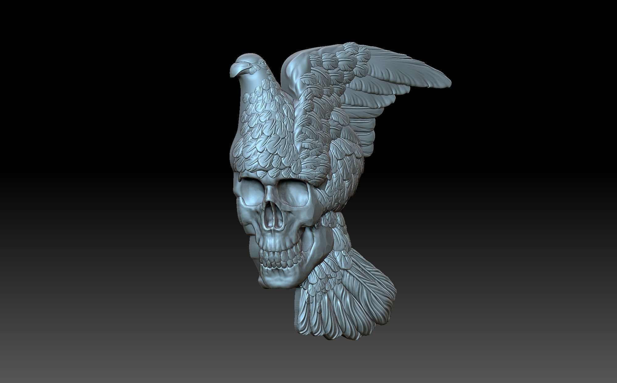 Pigeon with a skull 3D print model_5