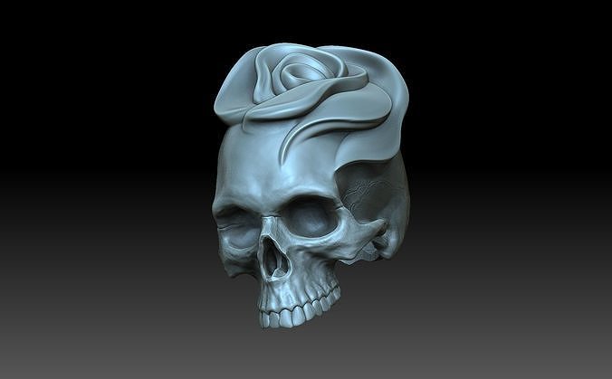 💀 Fractured Human Skull Replica・ STL File for 3D printing