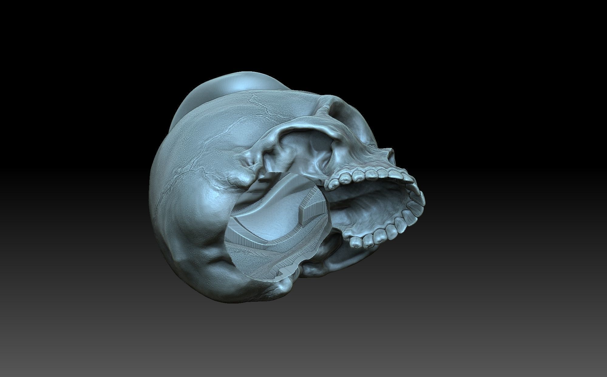 Skull with a rose 3D print model_5