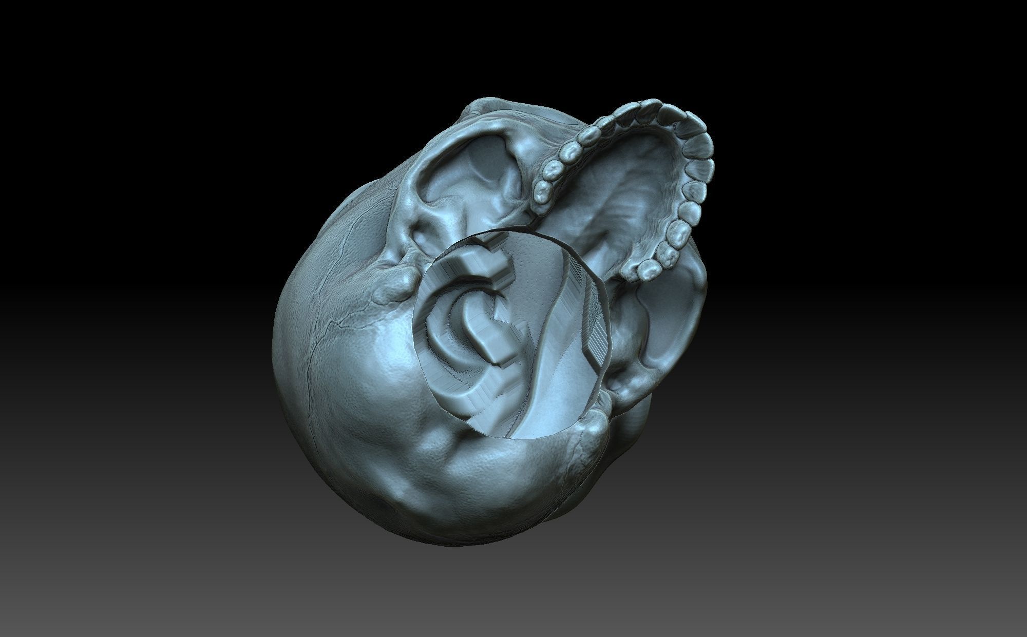 Skull with a rose 3D print model_7