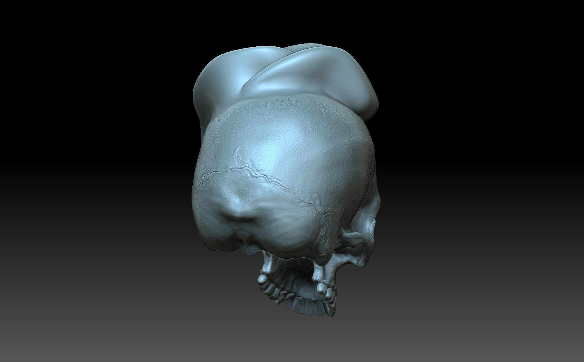 Skull with a rose 3D print model_3