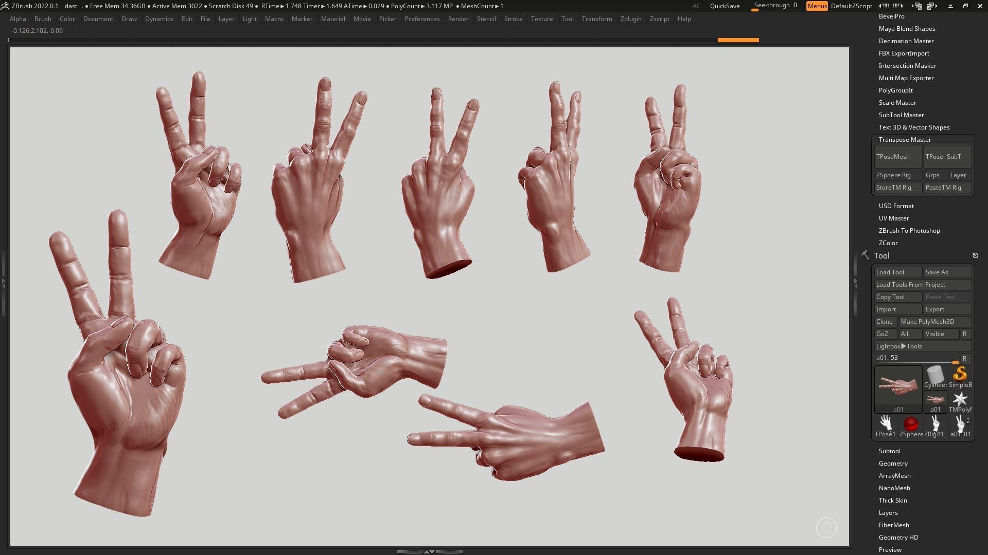 Hand pose 05 3d print model 3D print model_3