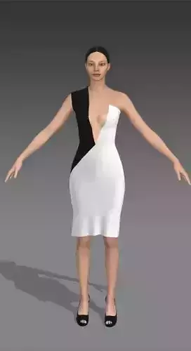 DRESS BLACK AND WHITE COLOR BLOCK