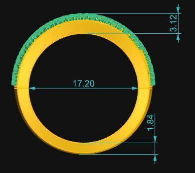 Band Ring 008 3D print model_6