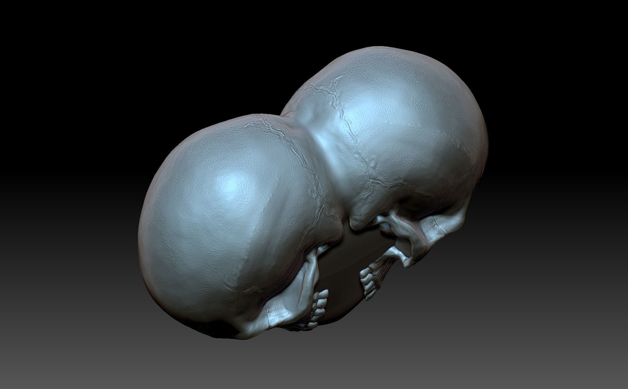 Heart with skulls 3D print model_6