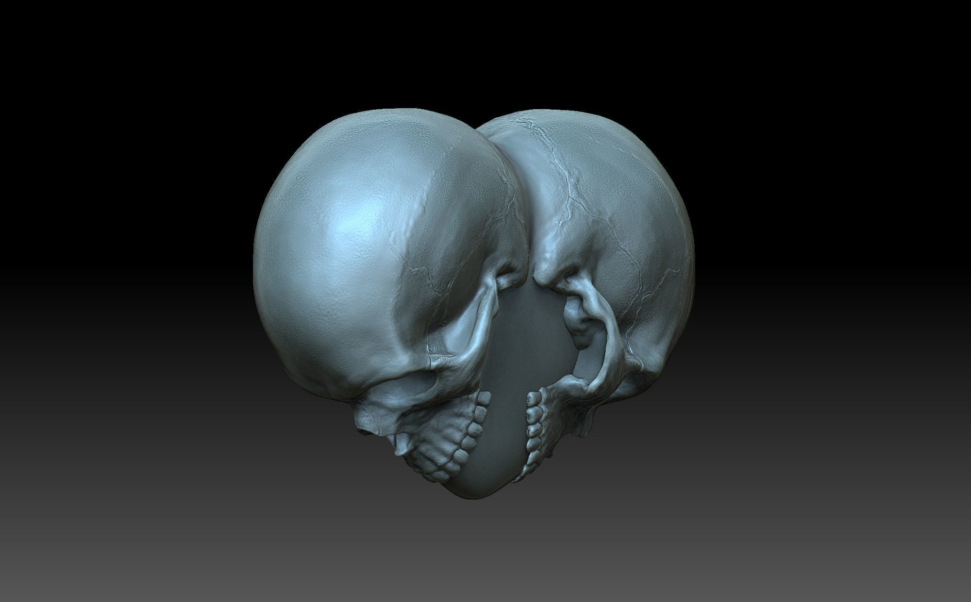 Heart with skulls 3D print model_3