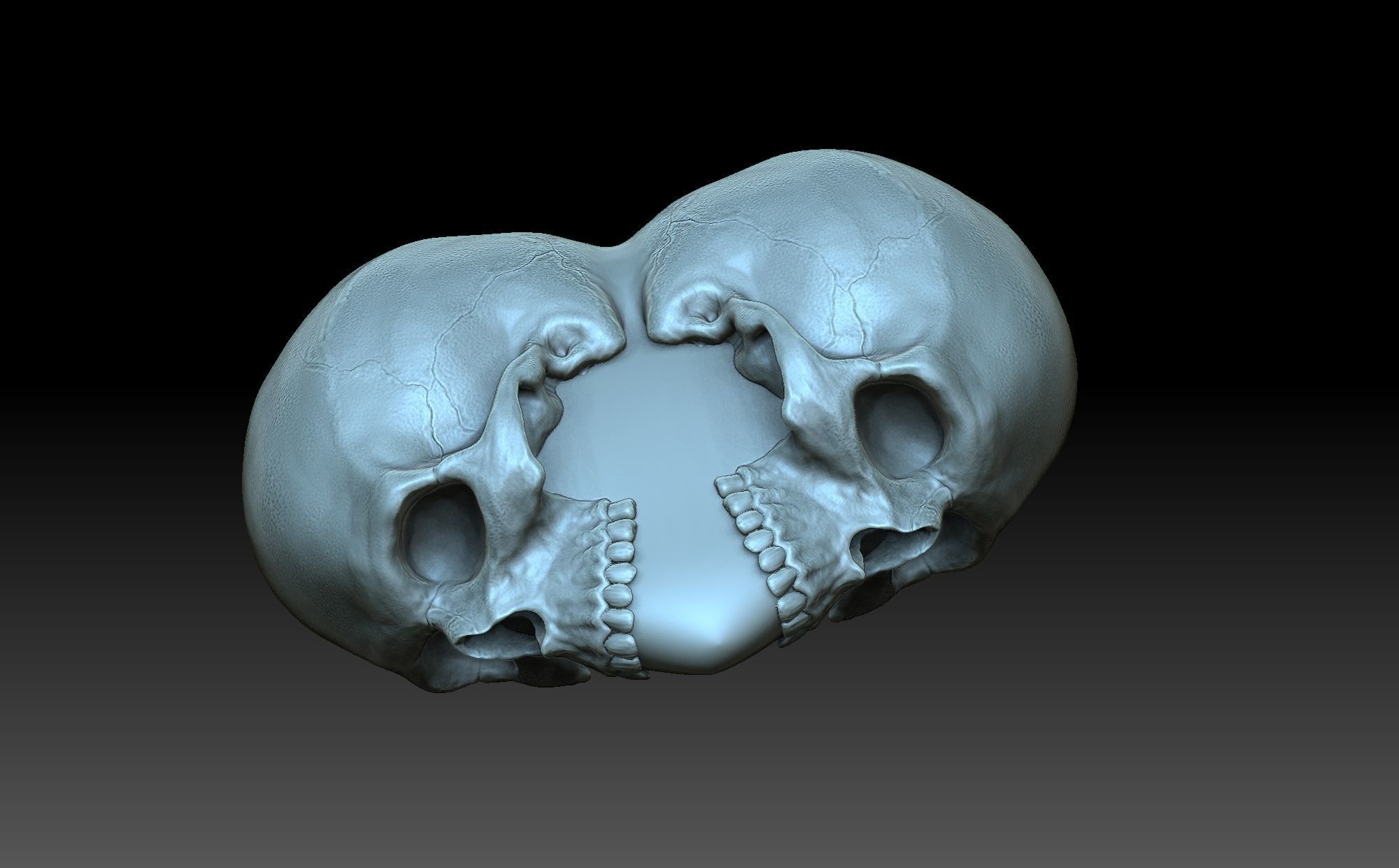 Heart with skulls 3D print model_4