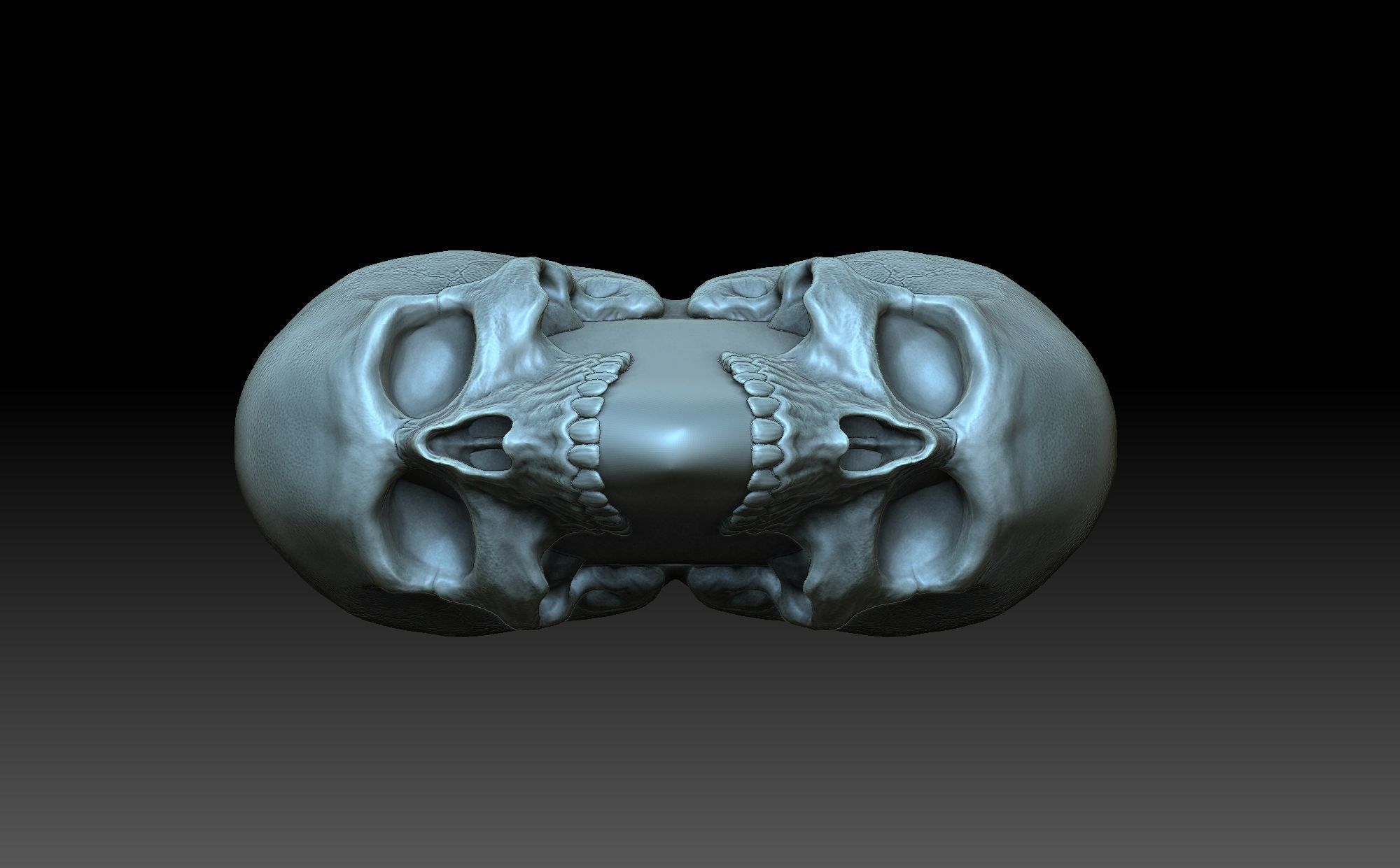 Heart with skulls 3D print model_5