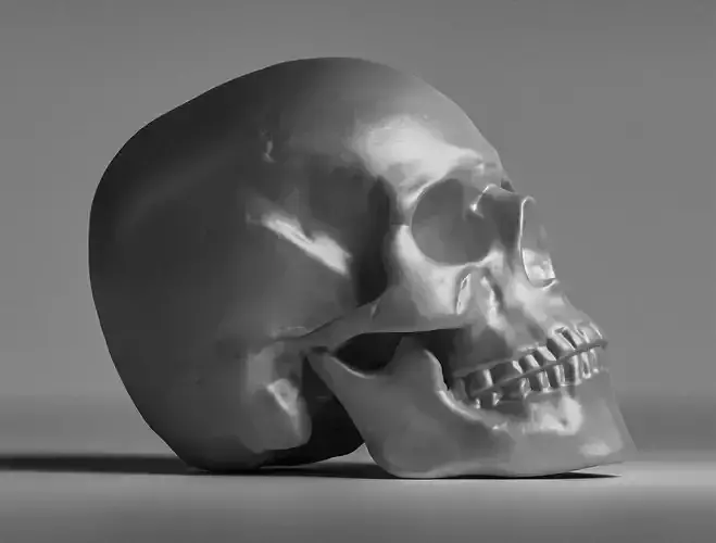 3D Scanned Male Skull for 3D printing