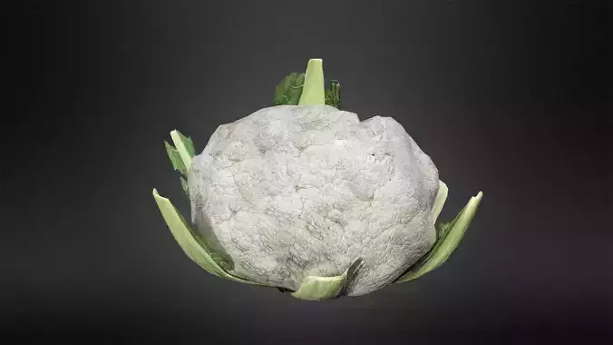Cauliflower Low-poly 3D model artichoke Low-poly 3D model