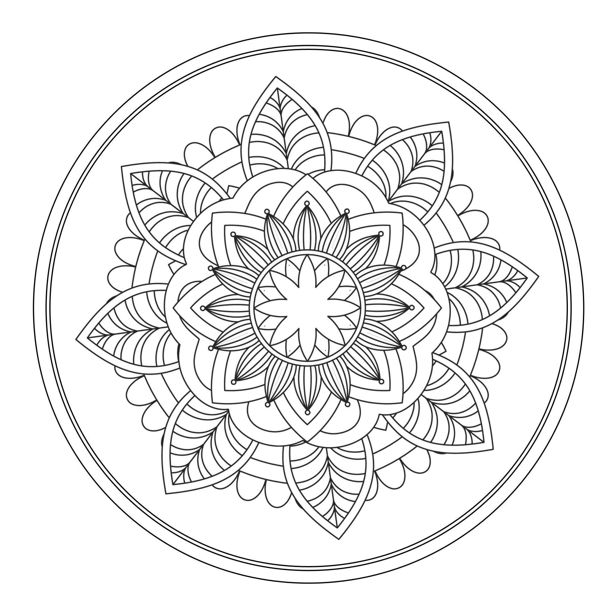 Design Plate 3D model_8