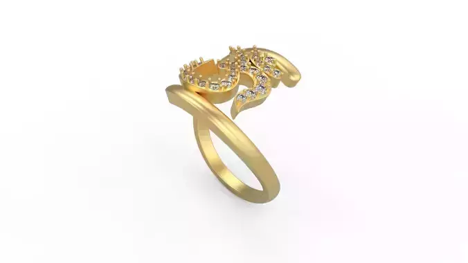 Om Ring 02