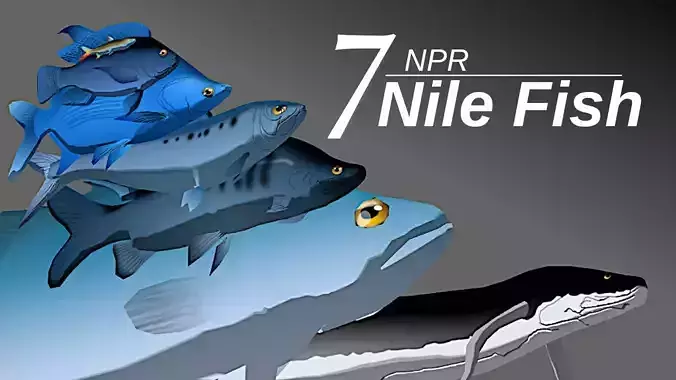 7 NPR Nile Fish