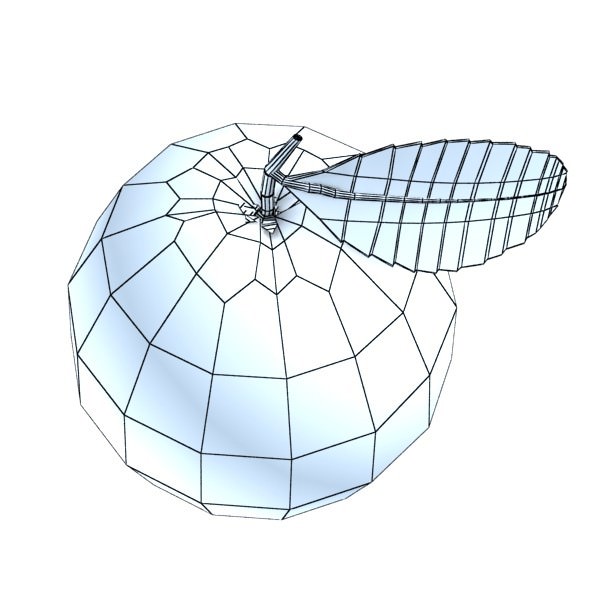 Orange High Detailed High resolution textures 3D model_7