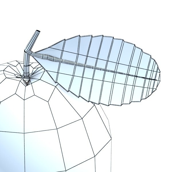 Orange High Detailed High resolution textures 3D model_10