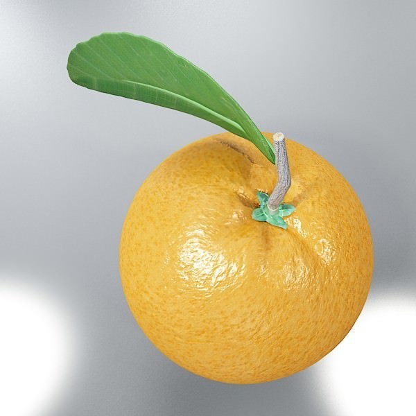 Orange High Detailed High resolution textures 3D model_4