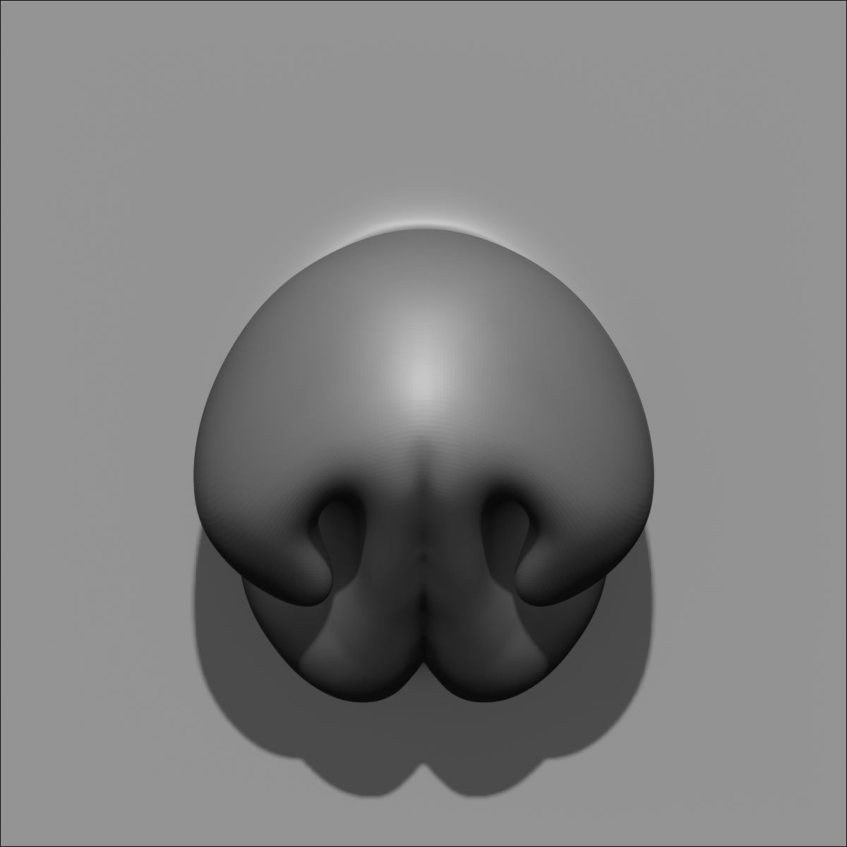 40 VDM Nose Brushes for ZBrush Stylized and Normal Low-poly 3D model_46