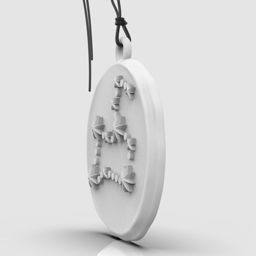 Zodiac Leo  Sign Pendant 3D print model_23