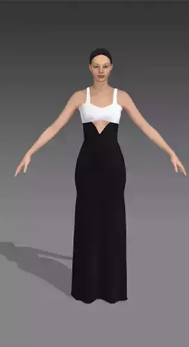 DRESS BASIC COLOR BLACK WHITE MATTE LOOK