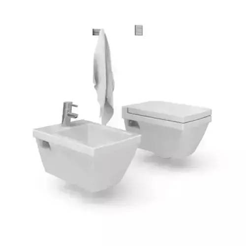 White Porcelain Toilet And Matching Bidet