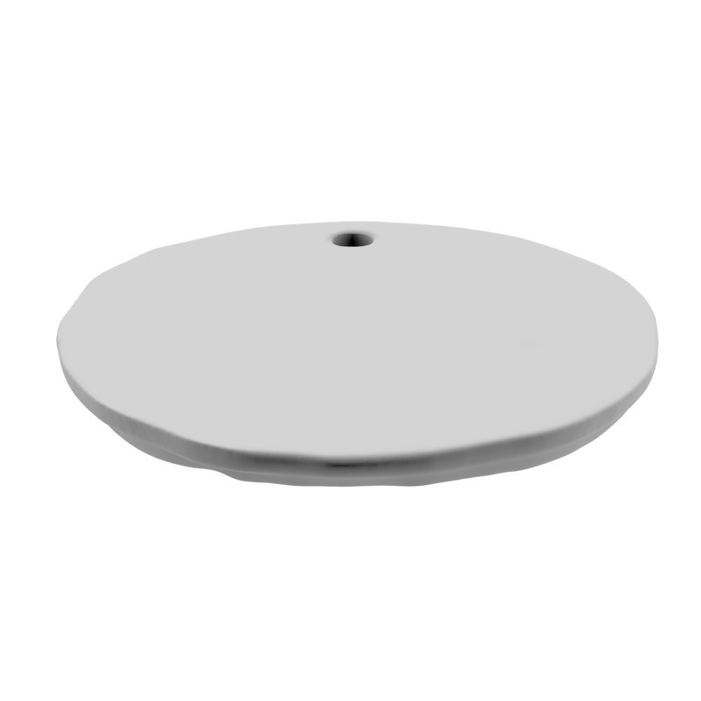 Zodiac Virgo Coin Pendant 3D print model_33
