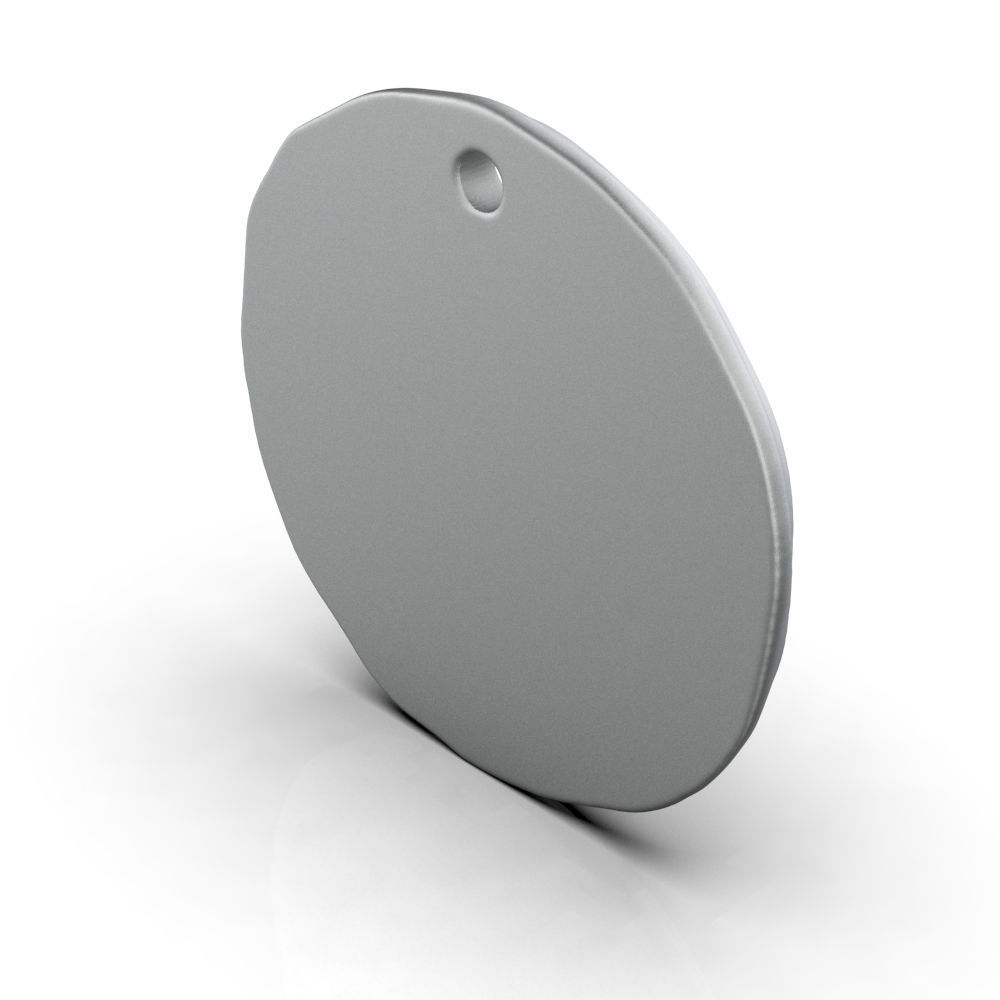 Zodiac Capricorn Coin Pendant 3D print model_32