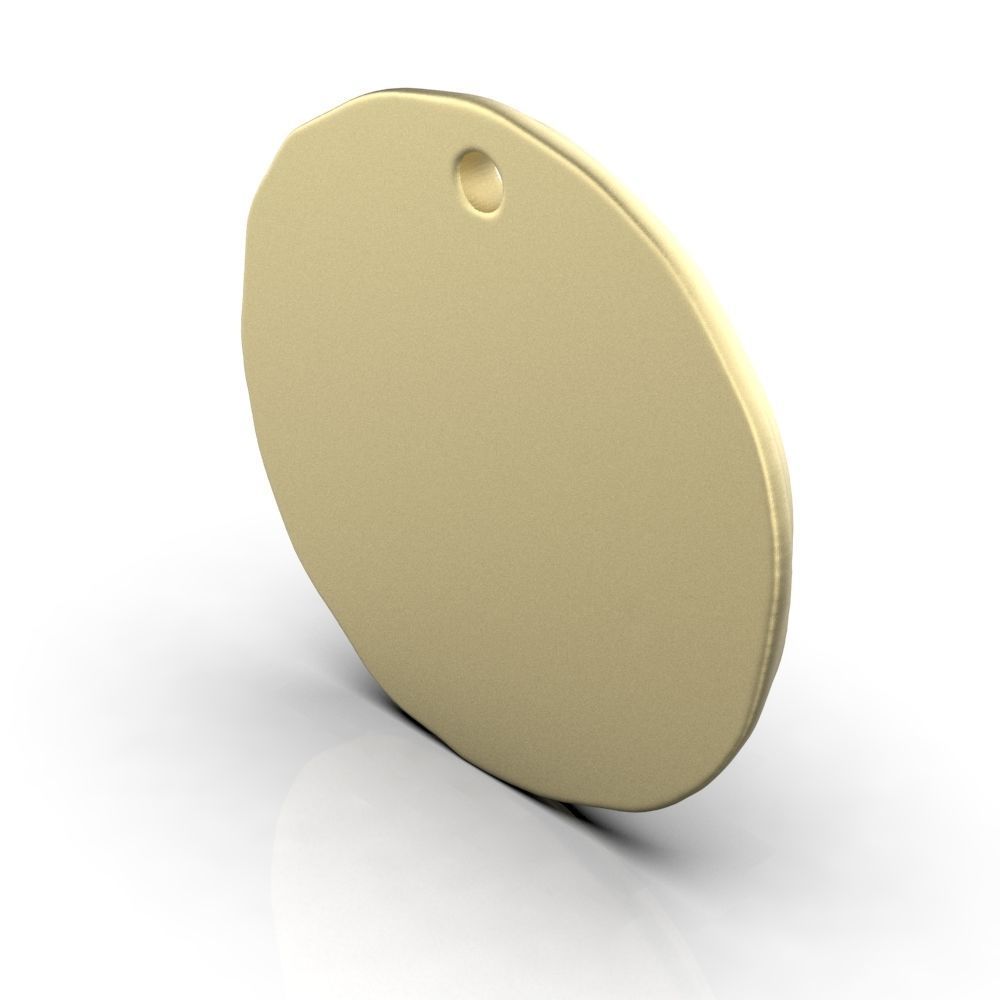 Zodiac Capricorn Coin Pendant 3D print model_31