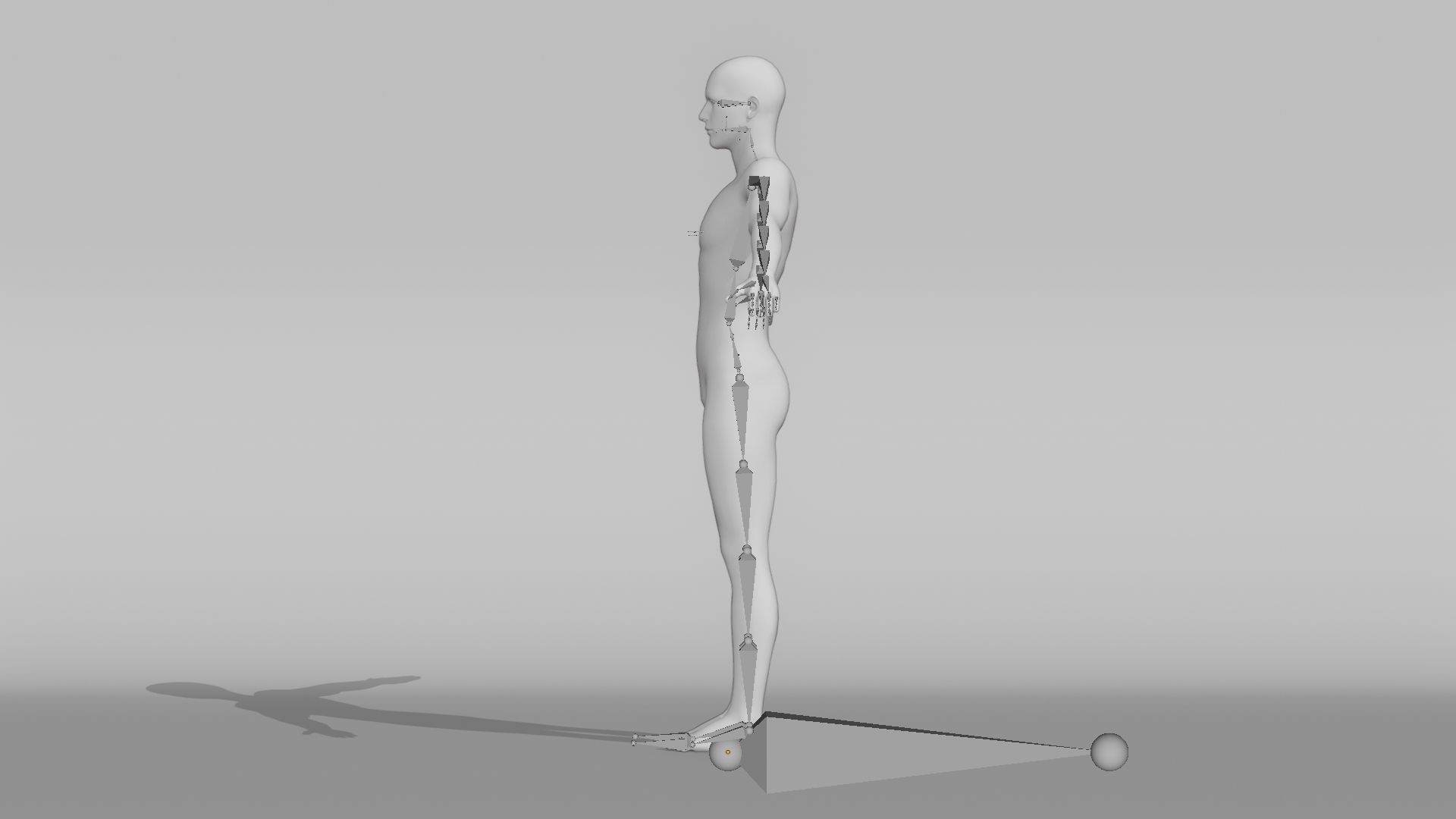 Realistic Base Characters Pack 3D model_30