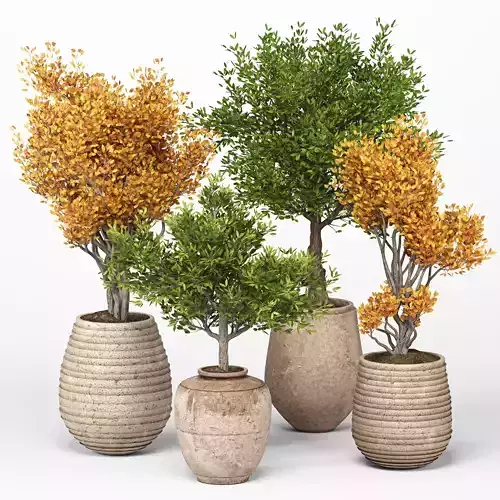 Indoor Plants set 11