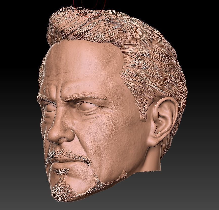 Tony stak 3D Head 3D print model 3D model_3