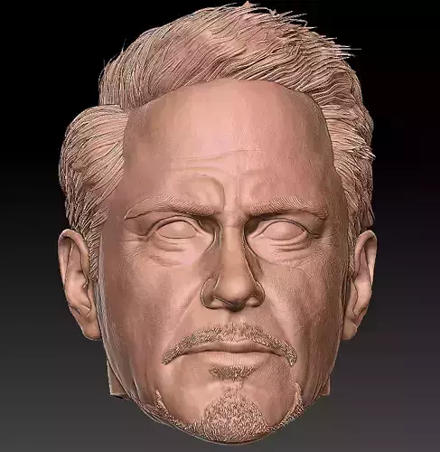 Tony stak 3D Head 3D print model