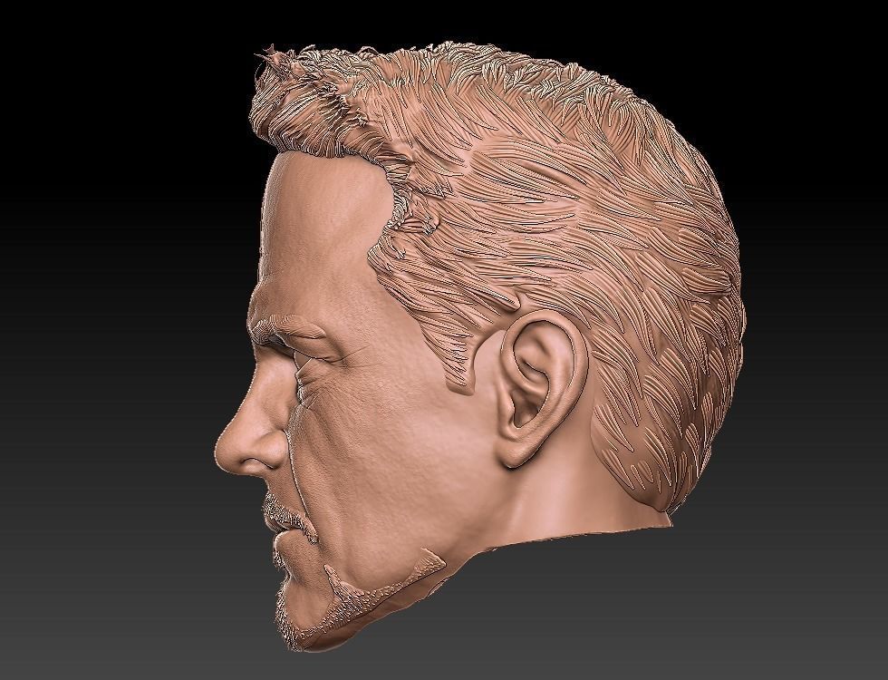 Tony stak 3D Head 3D print model 3D model_1