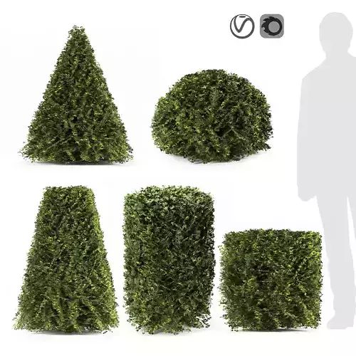 bush set topiary plants 3D model