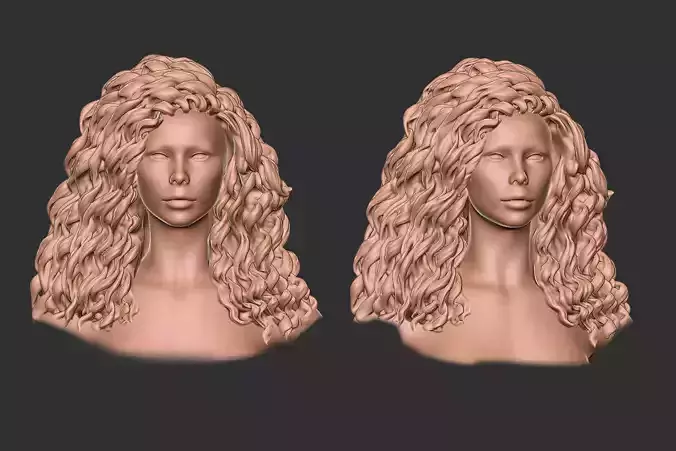 hair 33 3D print model