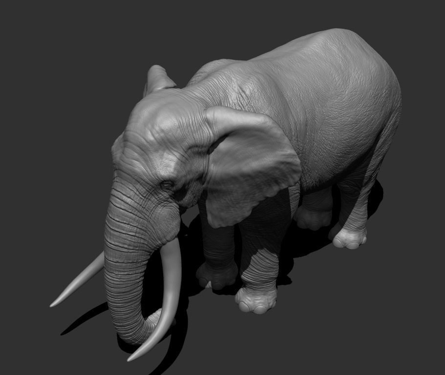 Elephant Low-poly 3D model_4