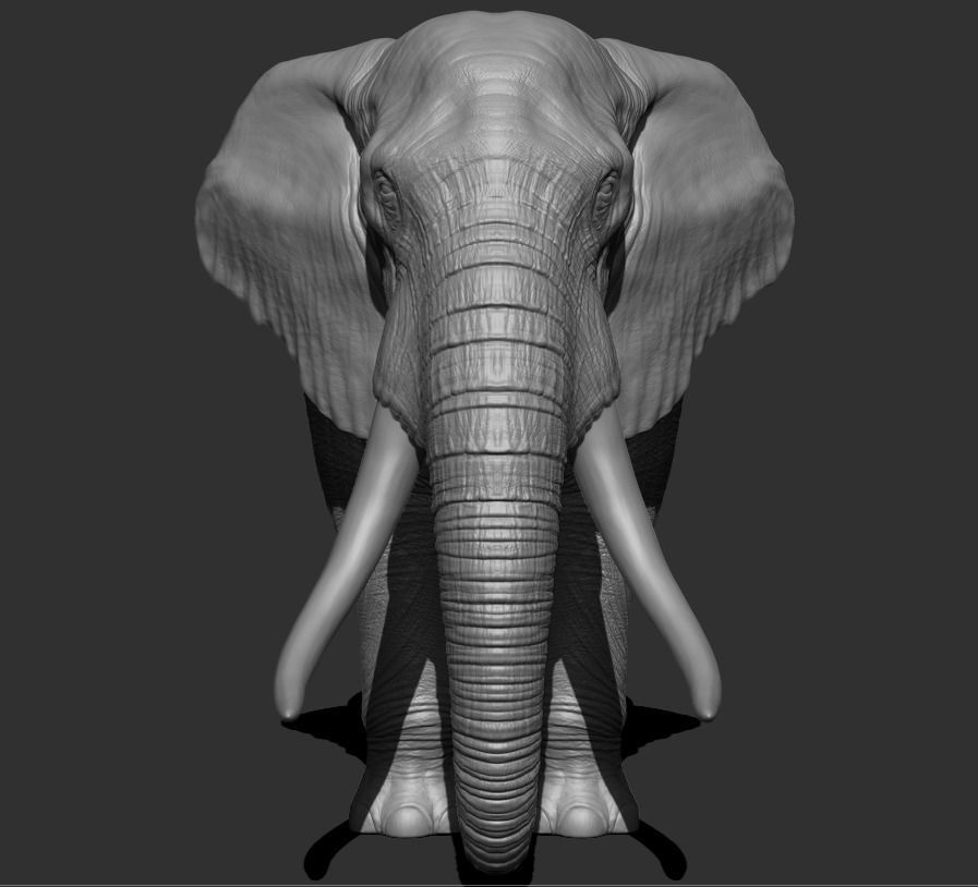Elephant Low-poly 3D model_9