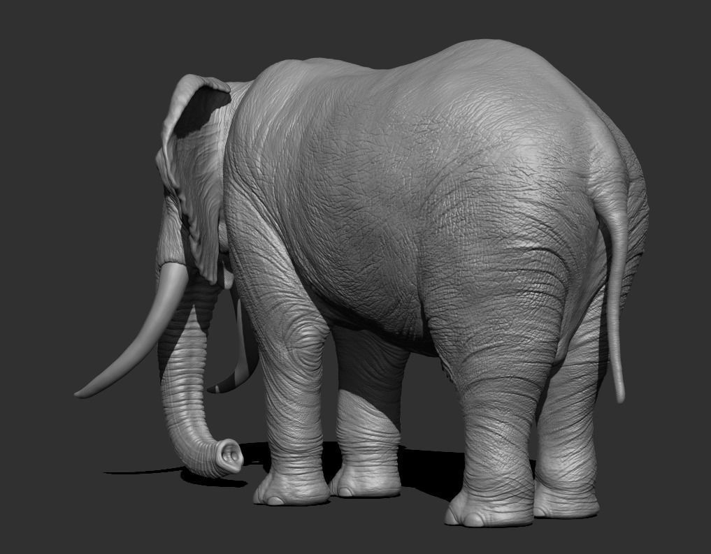 Elephant Low-poly 3D model_6