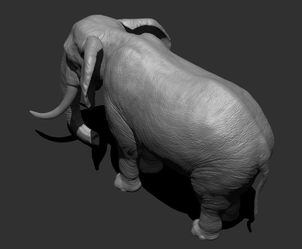 Elephant Low-poly 3D model_3