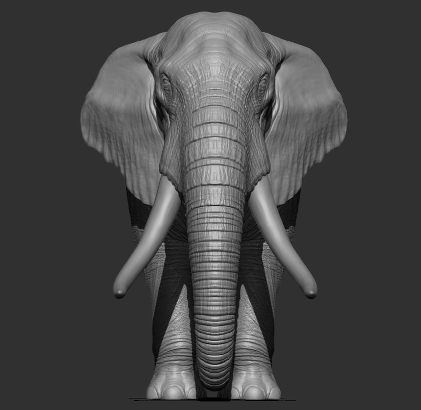 Elephant Low-poly 3D model_8