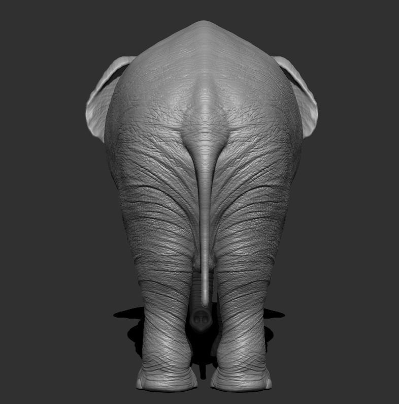 Elephant Low-poly 3D model_7