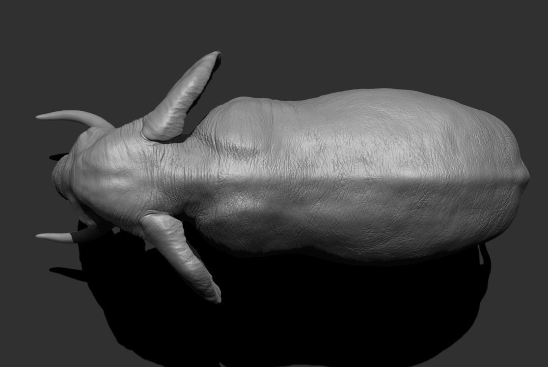 Elephant Low-poly 3D model_10