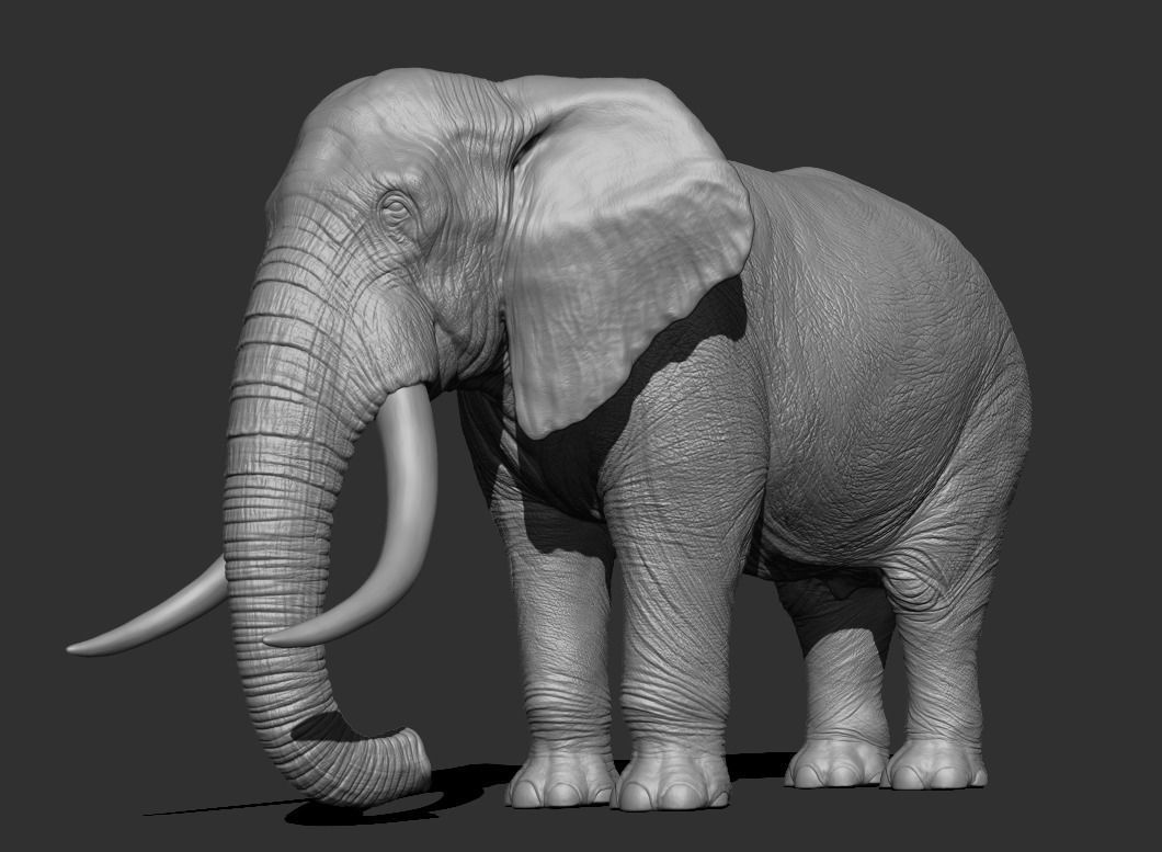 Elephant Low-poly 3D model_5