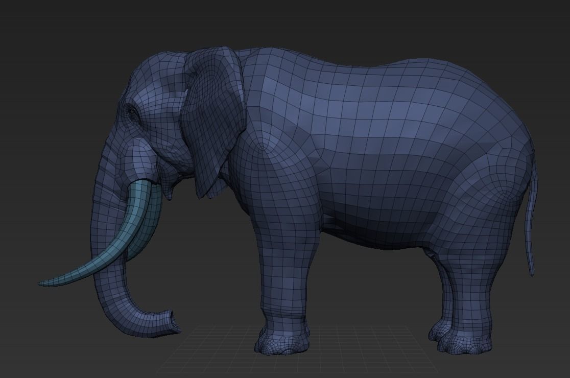 Elephant Low-poly 3D model_12