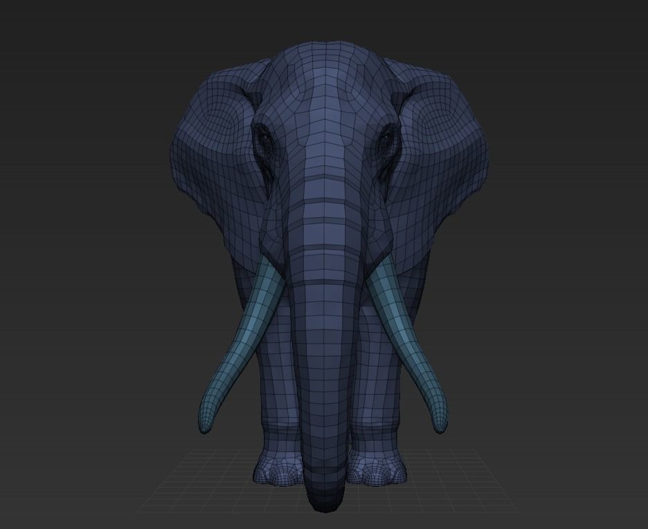 Elephant Low-poly 3D model_13