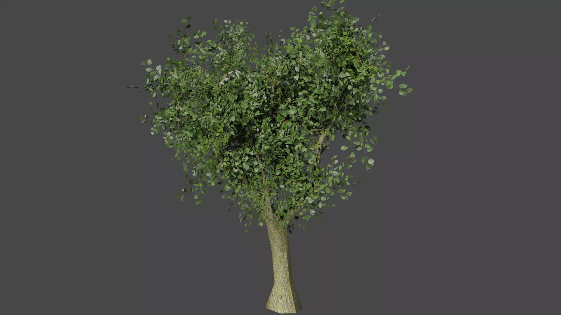 Very Low Poly Game Ready Tree Low-poly 3D model_0