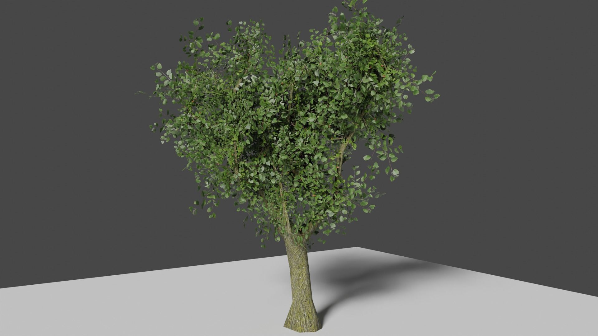 Very Low Poly Game Ready Tree Low-poly 3D model_1