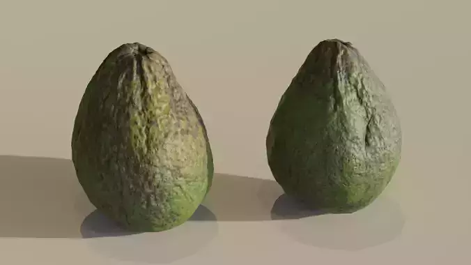 Avocado 1 Photorealistic