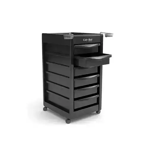 Black Beauty Parlor Organizer 3D model