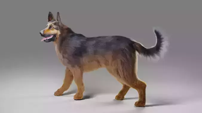 Fur German Shepherd Rigged  