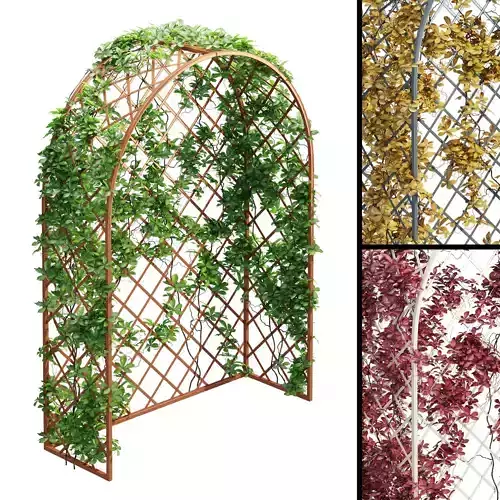 Villandry ivy arbour